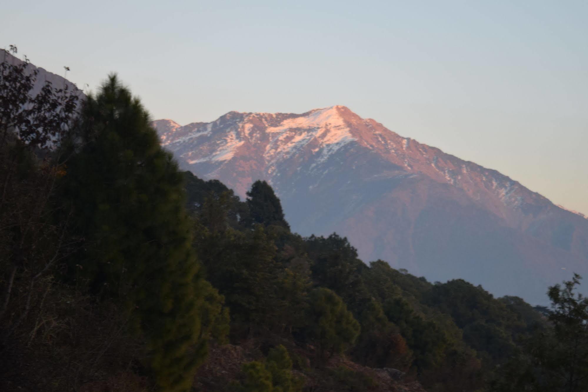 The Exotica Otel Dharamshala Dış mekan fotoğraf